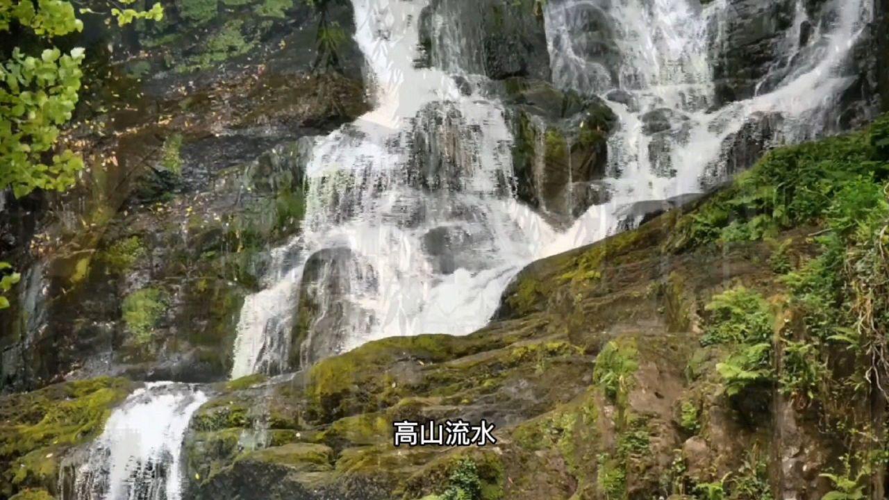 史小坑的爆笑生活11