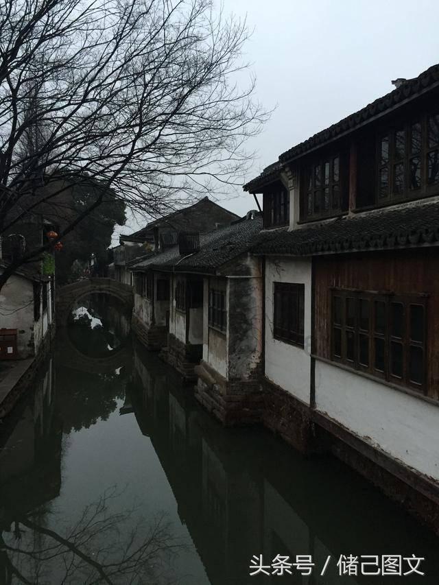 救援小孔雀