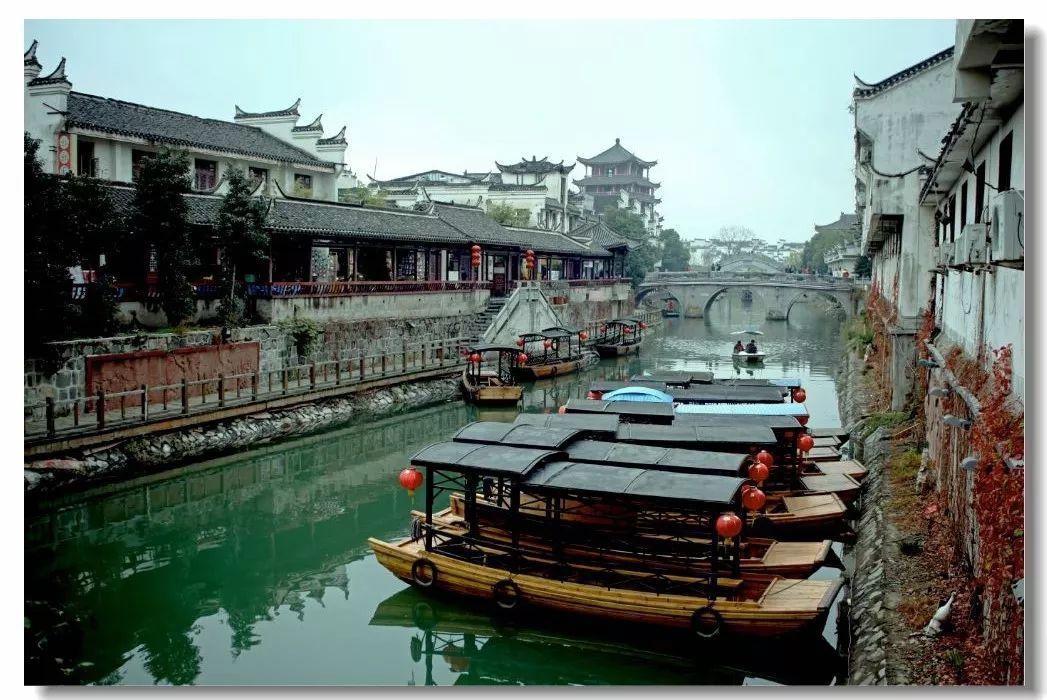 细胞分裂4